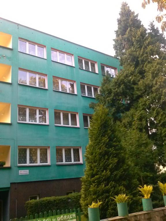 Pod Zielonym Kogutem Albergue Duszniki Zdrój Exterior foto